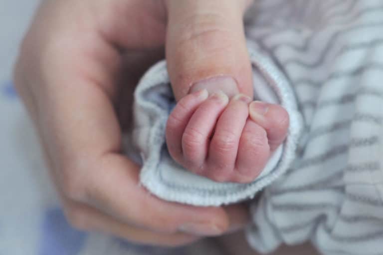 Premature baby in neonatology holds the thumb of an adult
